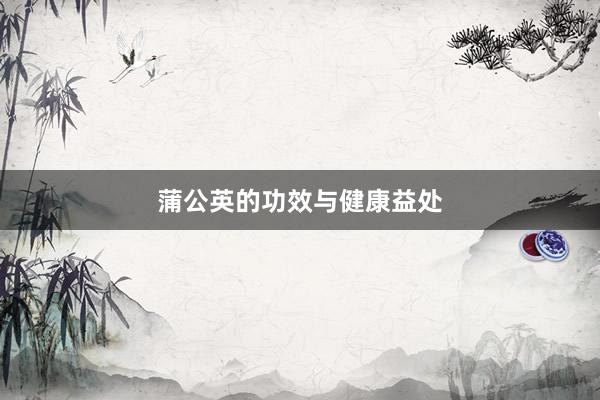 蒲公英的功效与健康益处