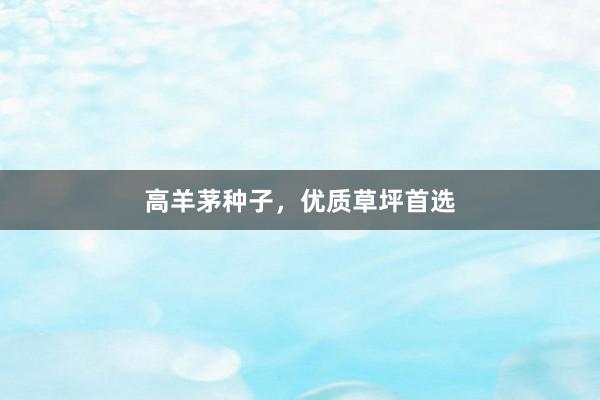 高羊茅种子，优质草坪首选