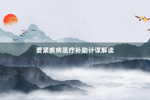 要紧疾病医疗补助计谋解读